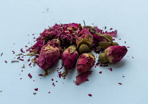 فروش گل سرخ